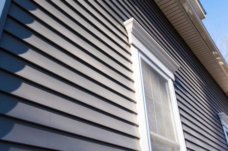 Vinyl Siding Maintenance